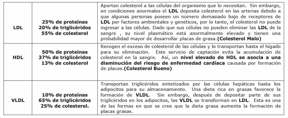 Lipoproteínas