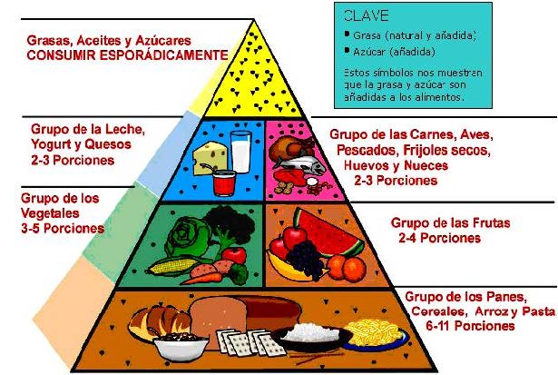 Pirámide de la nutrición