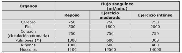 Adaptaciones del organismo al esfuerzo