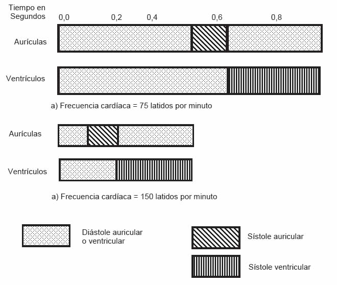 Secuencia de la Sístole