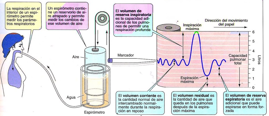 Volúmenes Respiratorios