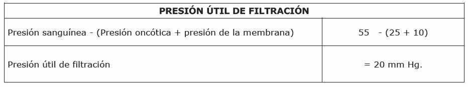 Filtración glomerular