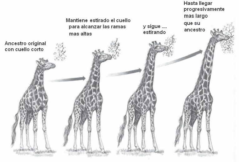 Lamarck