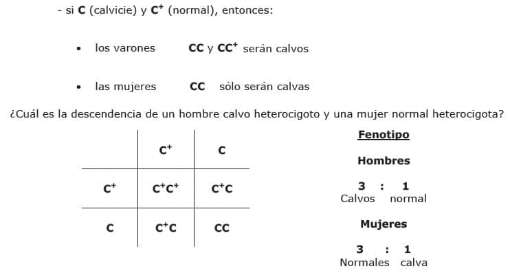 Genes influidos por sexo