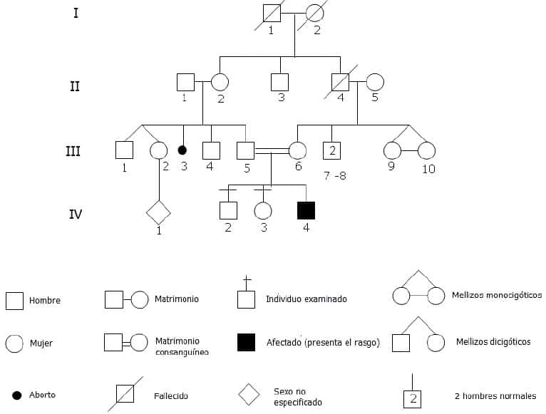 Genealogías