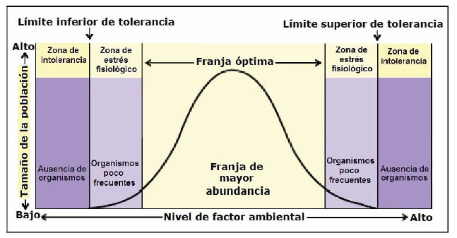 Tamaño de las poblaciones