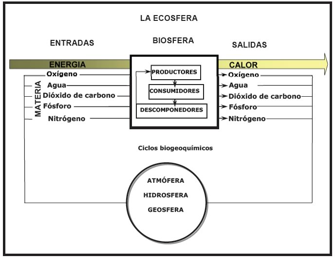 Ciclos biogeoquímicos