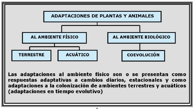 Adaptaciones de los organismos