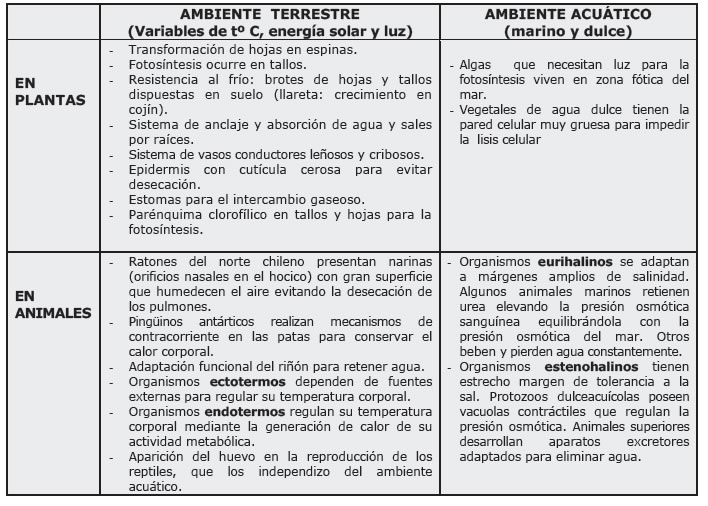 Resultado de imagen para adaptaciones reproductivas en organismos