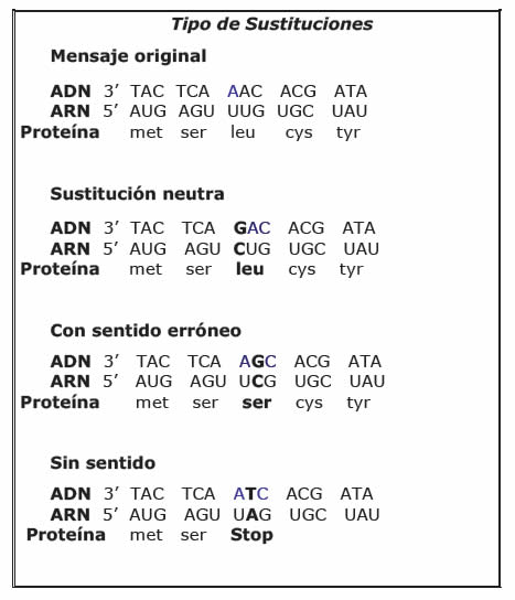 Mutaciones génicas