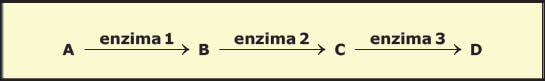 Regulación de la actividad enzimática