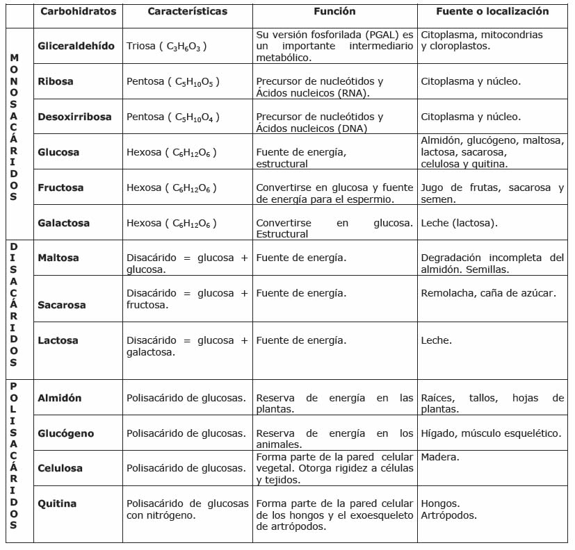 Carbohidratos