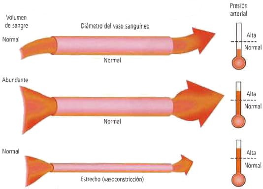 Causas del aumento de la presión arterial