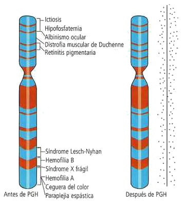 proyecto-genoma-humano