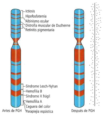 proyecto-genoma-humano