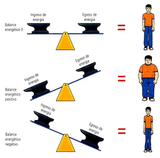 balance energético